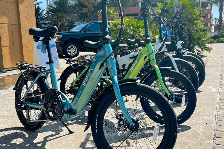 E-Bikes